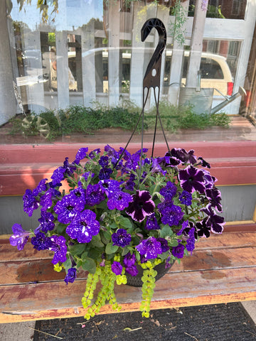 12inch Shades of Purple Hanging Basket