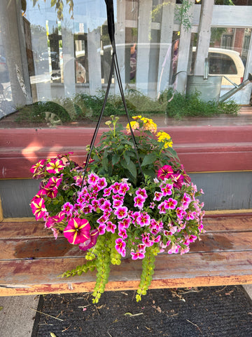 12inch Pink and Yellow Hanging Basket