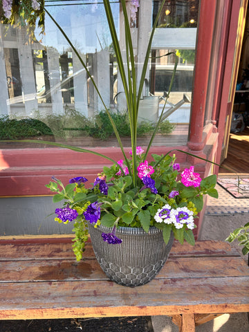 Small Purple and Pink Patio Planter