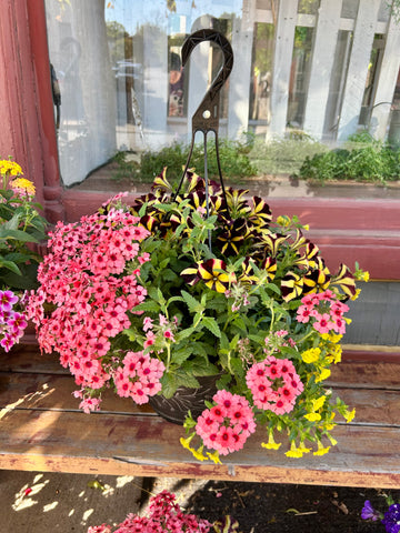 11inch Pink and Yellow Hanging Basket