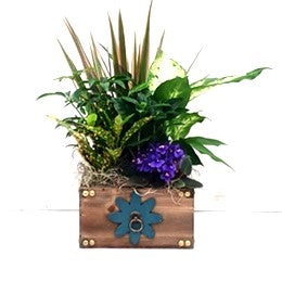 Mother's Day Indoor Planter