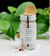 Organic Rose and Eucalyptus Sugar Scrub